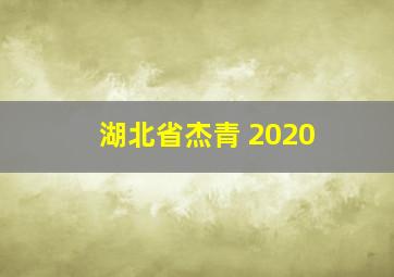 湖北省杰青 2020